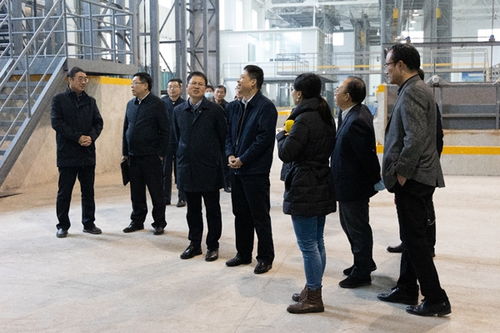 强强联合，共谋能源科技创新 国家能源集团科学技术研究院杨宏强董事长一行到访交流